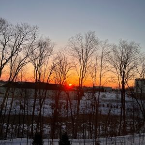 Meet your Posher, Ara